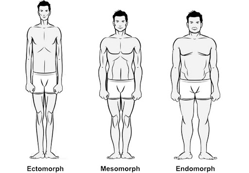 I tre somatotipi principali: Mesomorfo, Ectomorfo, Endomorfo.